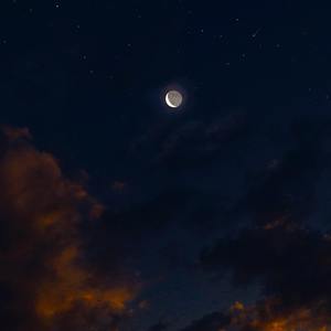 巨大荫蒂XX另类
